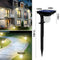 Solar lawn lamp